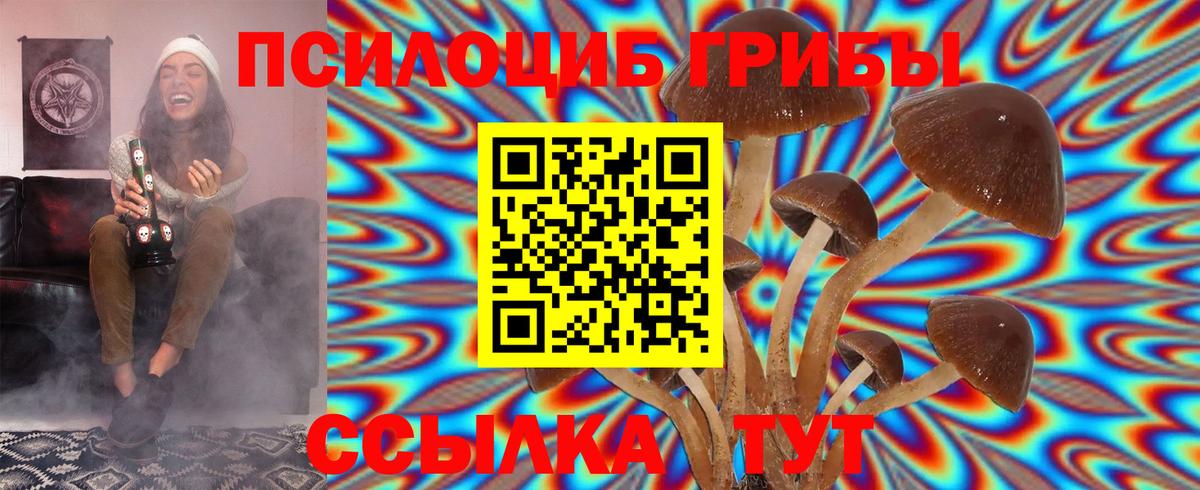 Псилоцибиновые грибы Psilocybe  Вход с VPN  Магадан  где найти наркотики  Галлюциногенные грибы GOLDEN TEACHER 